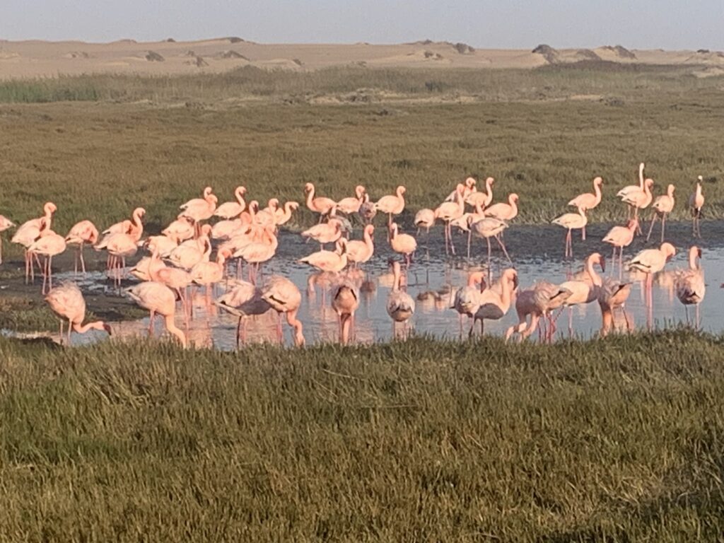 20240506 151806464 Ios