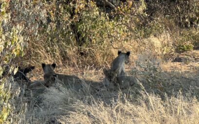 20240508 060352361 Ios