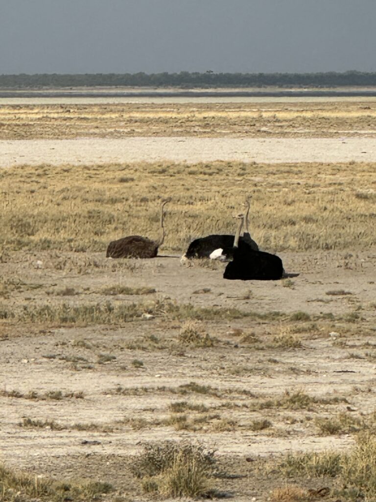 20240508 064931855 Ios