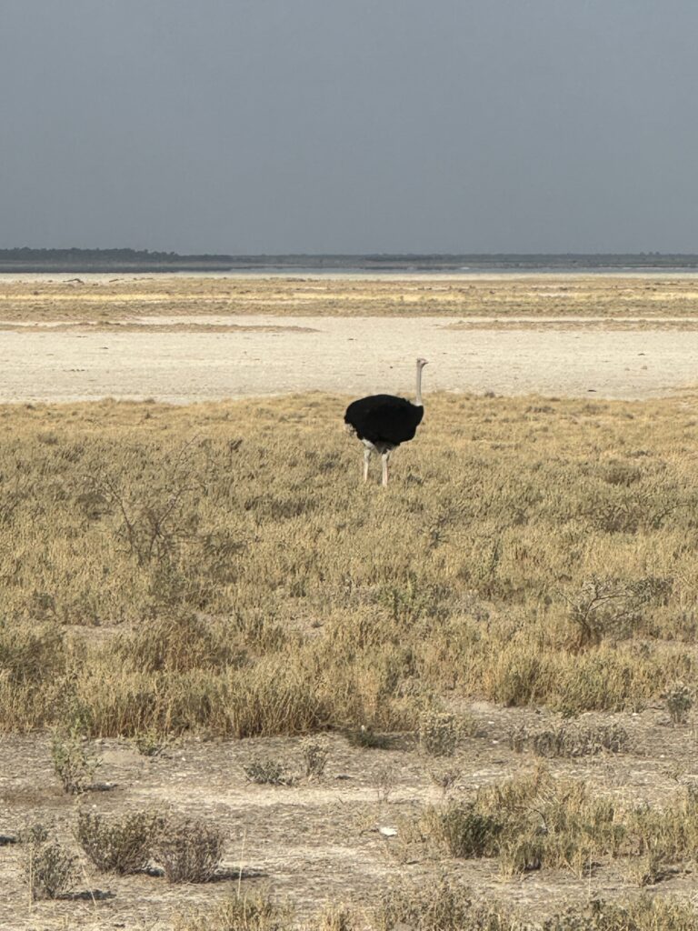 20240508 065050754 Ios