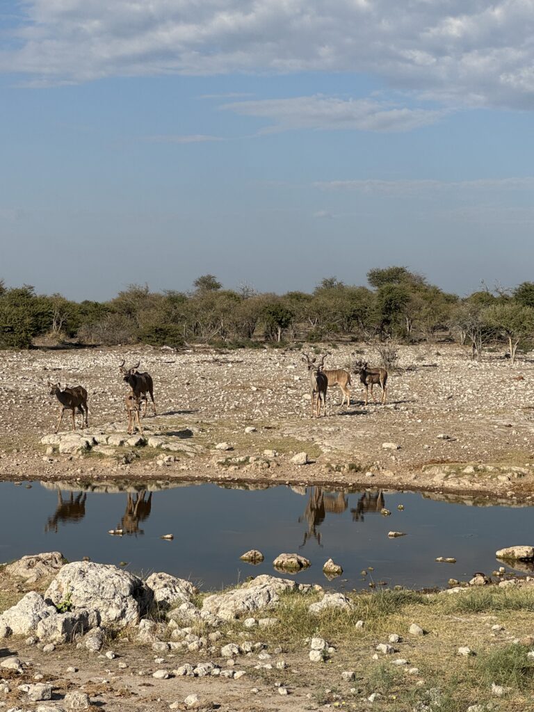 20240508 070054550 Ios