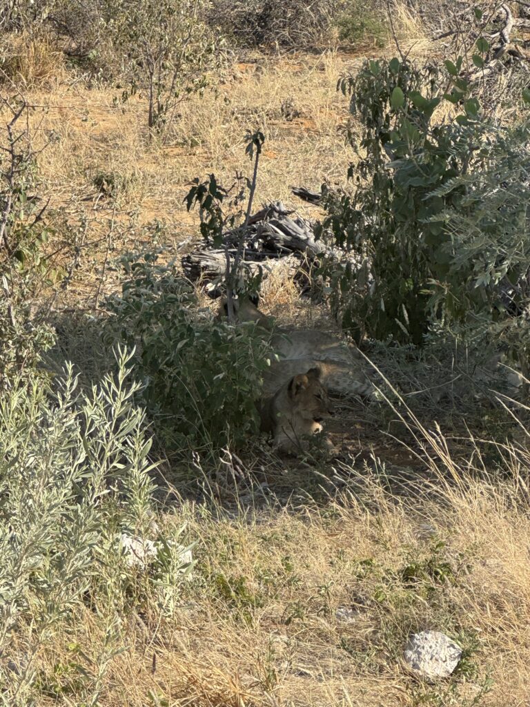 20240508 075311997 Ios