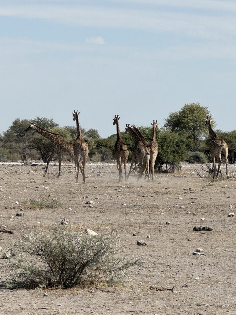 20240508 090706507 Ios