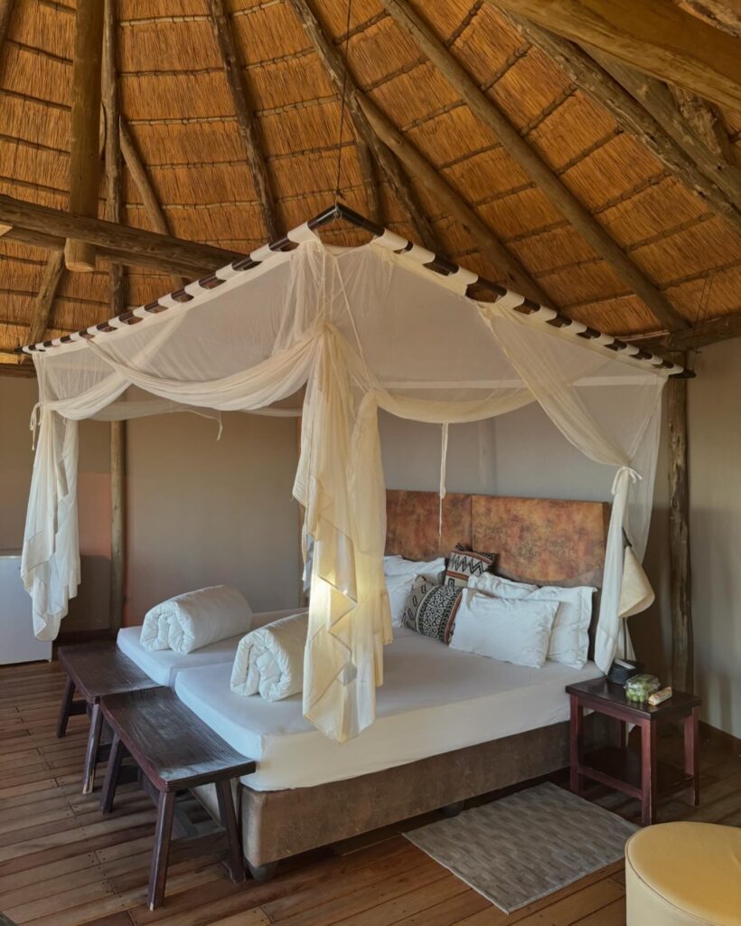 788dc3d4 543c 49ea 833b 42bfef13eae0